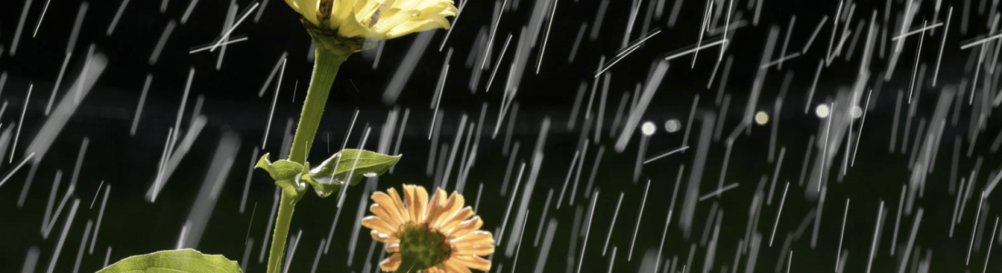 Drainage Systems: What Leary’s Landscaping Offers to NJ Residents